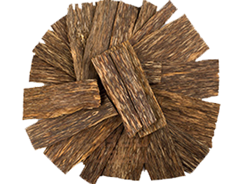 عود فيتنامي